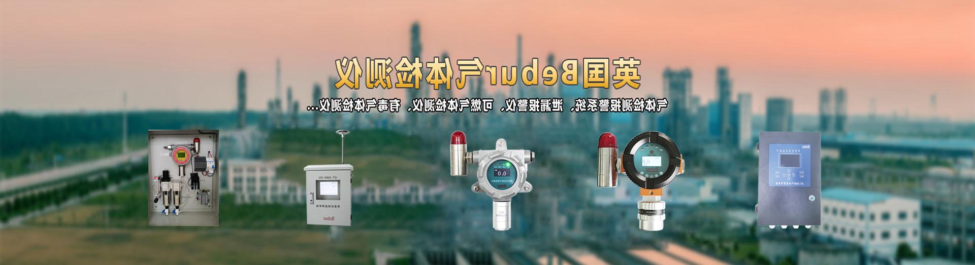 在线式pid气体检测仪器系列产品